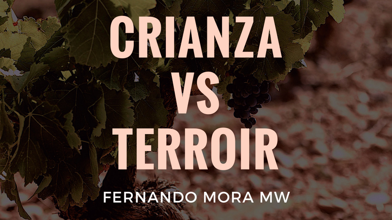 Crianza VS Terroir con Fernando Mora Master Wine