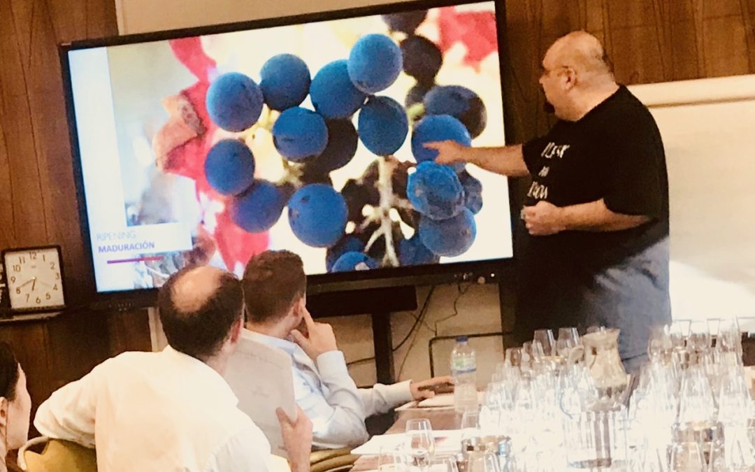 Instituto WSET School London