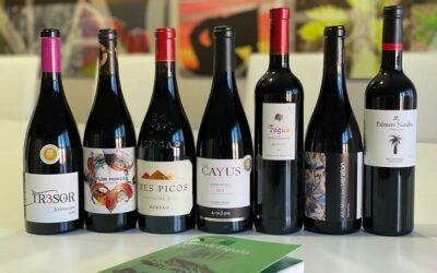 La DOP Campo de Borja en el XXI Salón de los mejores vinos de España 2021