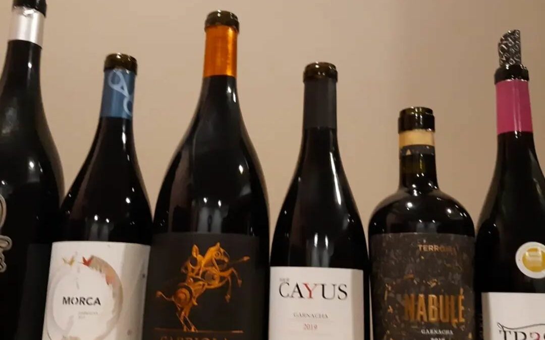 Cata El mundo habla Garnacha en Vino Premier Zaragoza