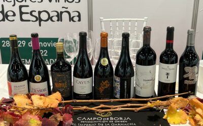 La DOP Campo de Borja en el XXII Salón de los mejores vinos de España de Guía Peñin