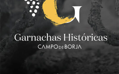 La DO Campo de Borja presenta ‘Garnachas Históricas Project’ a los medios de comunicación.