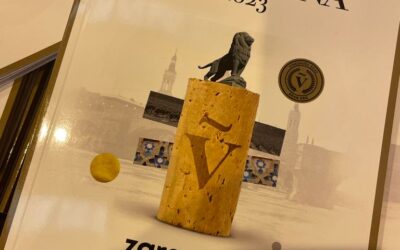 La DOP Campo de Borja consigue un gran medallero en la V edición del Concurso Nacional de Vinos VINESPAÑA 2023.