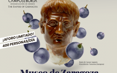 CRDO Campo de Borja presenta una nueva edición de la Muestra de Garnachas a los medios de comunicación