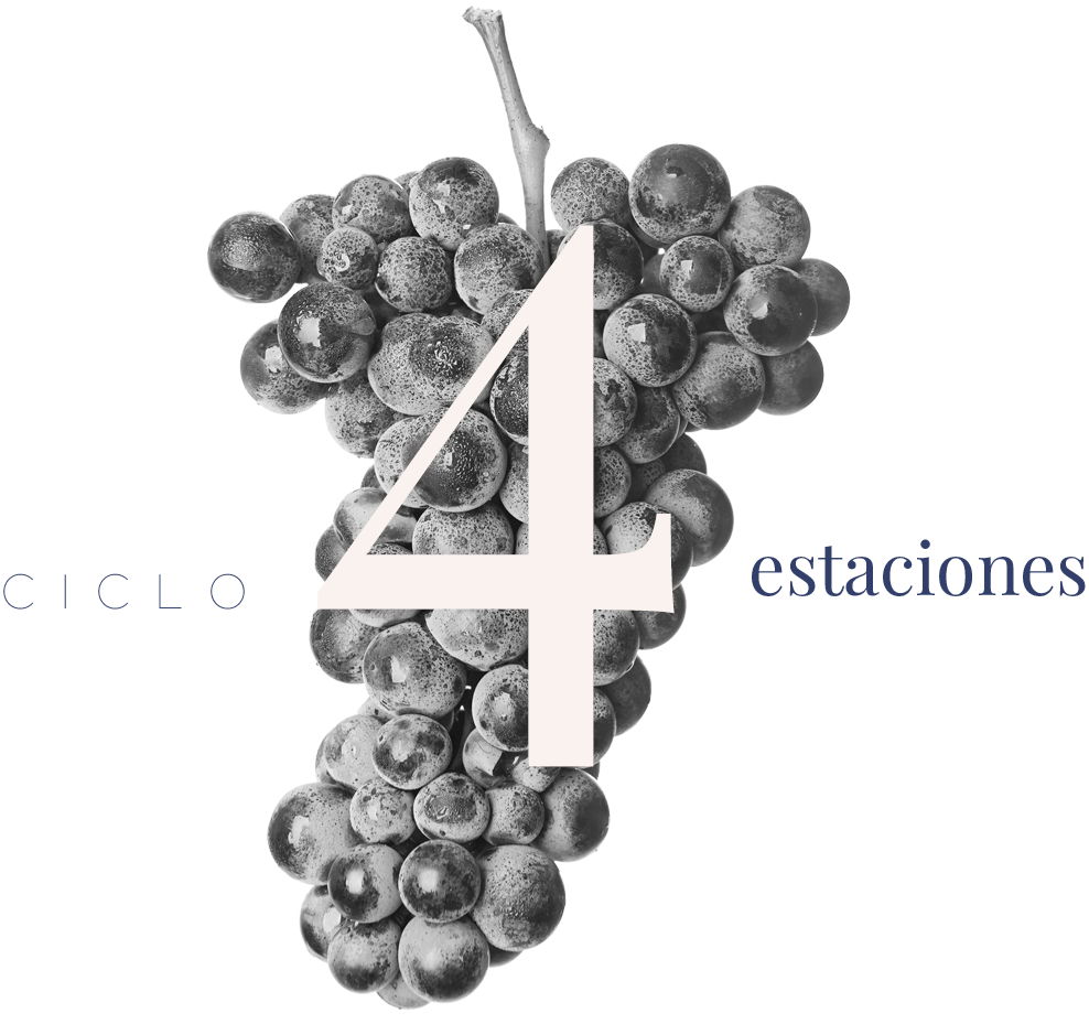 cata-4-estaciones