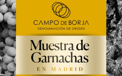 La D.O. Campo de Borja selecciona Madrid para presentar su excepcional gama de vinos de Garnacha