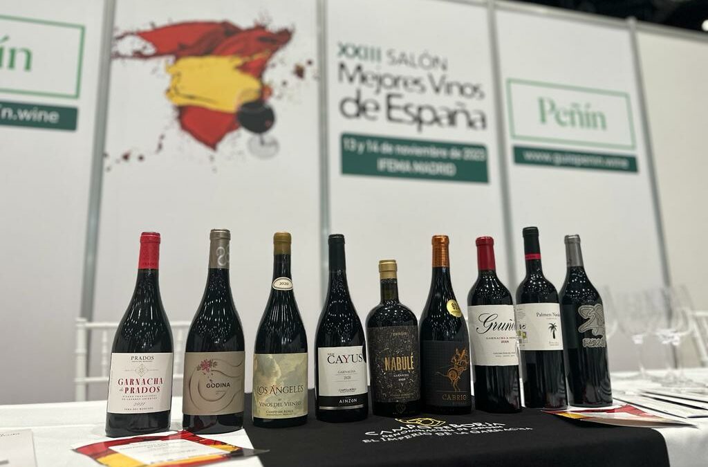 La DOP Campo de Borja en el XXIII Salón Peñín de los mejores vinos de España.