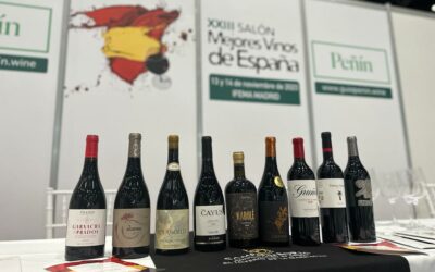 La DOP Campo de Borja en el XXIII Salón Peñín de los mejores vinos de España.