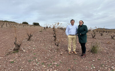 Beth Willard, especialista británica en vinos, visitó las bodegas de la DOP Campo de Borja