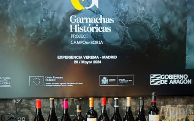 La DOP Campo de Borja en la Experiencia Verema Madrid