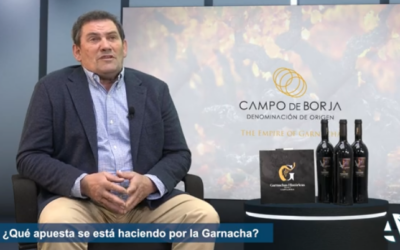 Entrevista a Eduardo Ibáñez, presidente de la DOP Campo de Borja, Eduardo Ibáñez: “Nos gustaría que la hostelería se involucrase más con la garnacha de Aragón’.