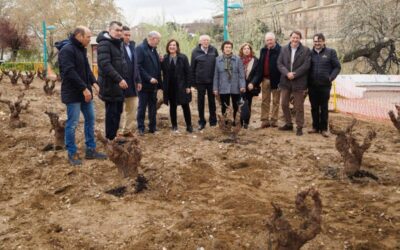 El Jardín de la Garnacha comienza a lucir con 129 vides plantadas en el parque de Macanaz