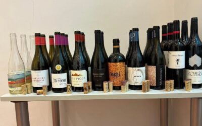 Cata Garnachas históricas en la Unión de Catadores de Madrid