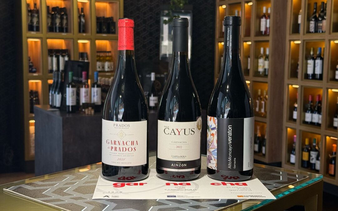 Cata en el Museo del Vino para Asociación Española de Asesores Fiscales (AESAD)