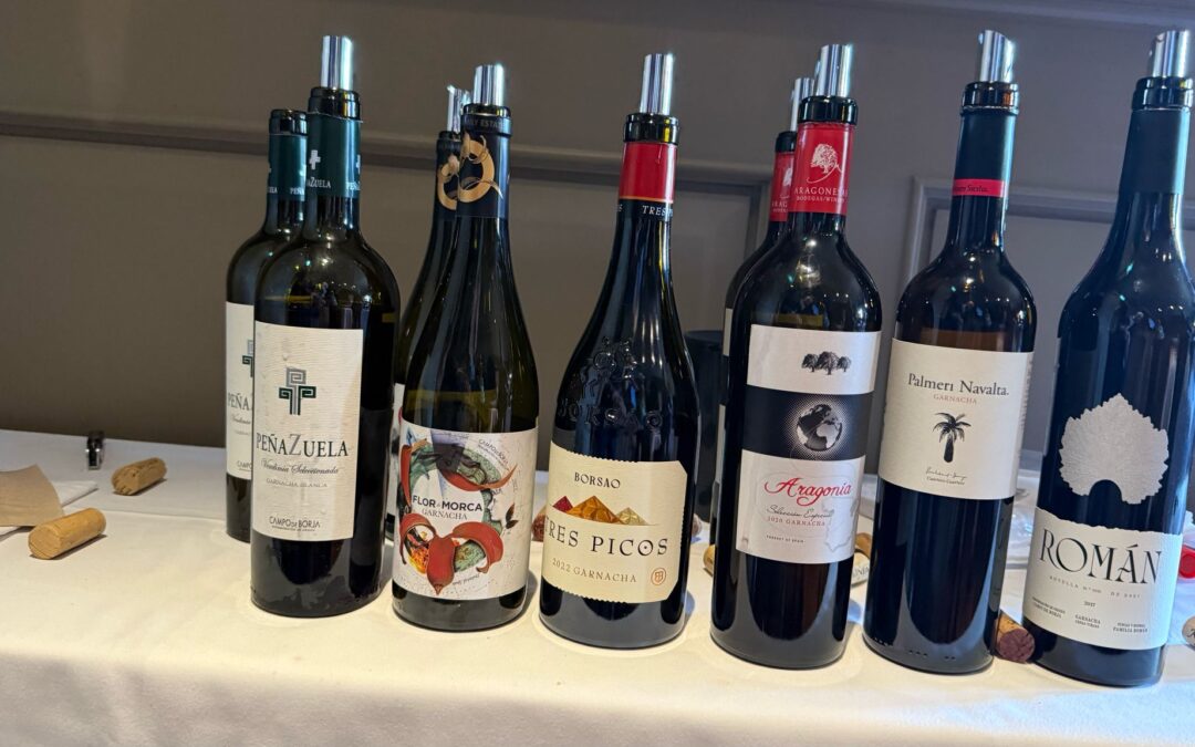DOP Campo de Borja deslumbra en la Cata Anual Wines from Spain 2025 en Manchester