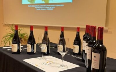 La Asociación Europea de Economistas del Vino celebra su congreso en Zaragoza, visitaran el Museo del vino, en el Monasterio de Veruela