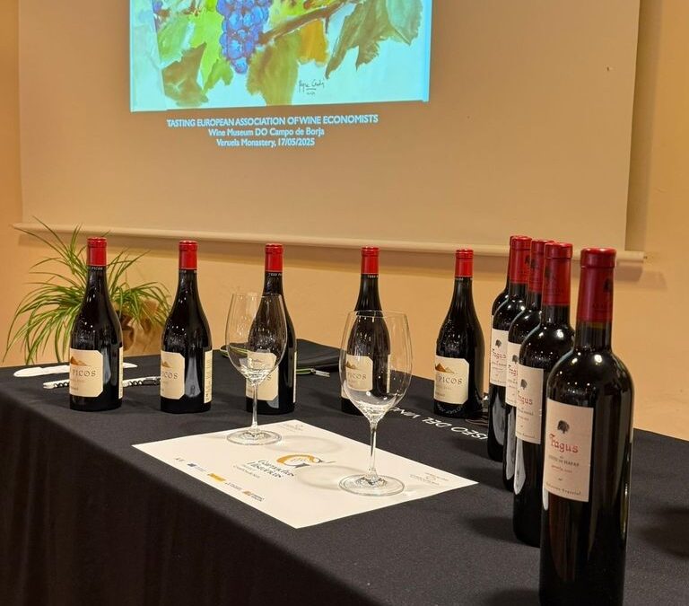 La Asociación Europea de Economistas del Vino celebra su congreso en Zaragoza, visitaran el Museo del vino, en el Monasterio de Veruela