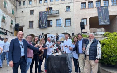 ¡Todo el sabor del vino y del aceite en Saborea Magallón! 