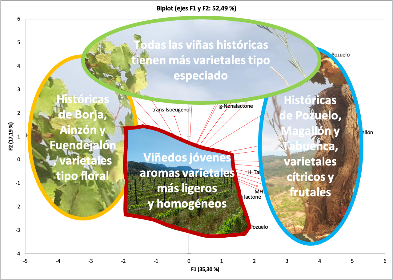 Informe Universidad Zaragoza Resumen
