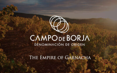 ANUNCIO DEL CONSEJO REGULADOR DE LA DENOMINACIÓN DE ORIGEN CAMPO DE BORJA, POR EL QUE SE SOLICITAN PROPUESTAS PARA LA ELABORACIÓN DEL PROYECTO DE PROMOCIÓN 2025 «CAMPO DE BORJA, EL ORIGEN DE LA GARNACHA».