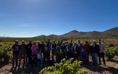 Jornada de Vendimia en la DOP Campo de Borja junto a la Asociación de Sumilleres de Aragón