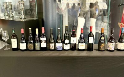 La Garnacha de la DOP Campo de Borja protagoniza una nueva cata en la Rafa Nadal Academy