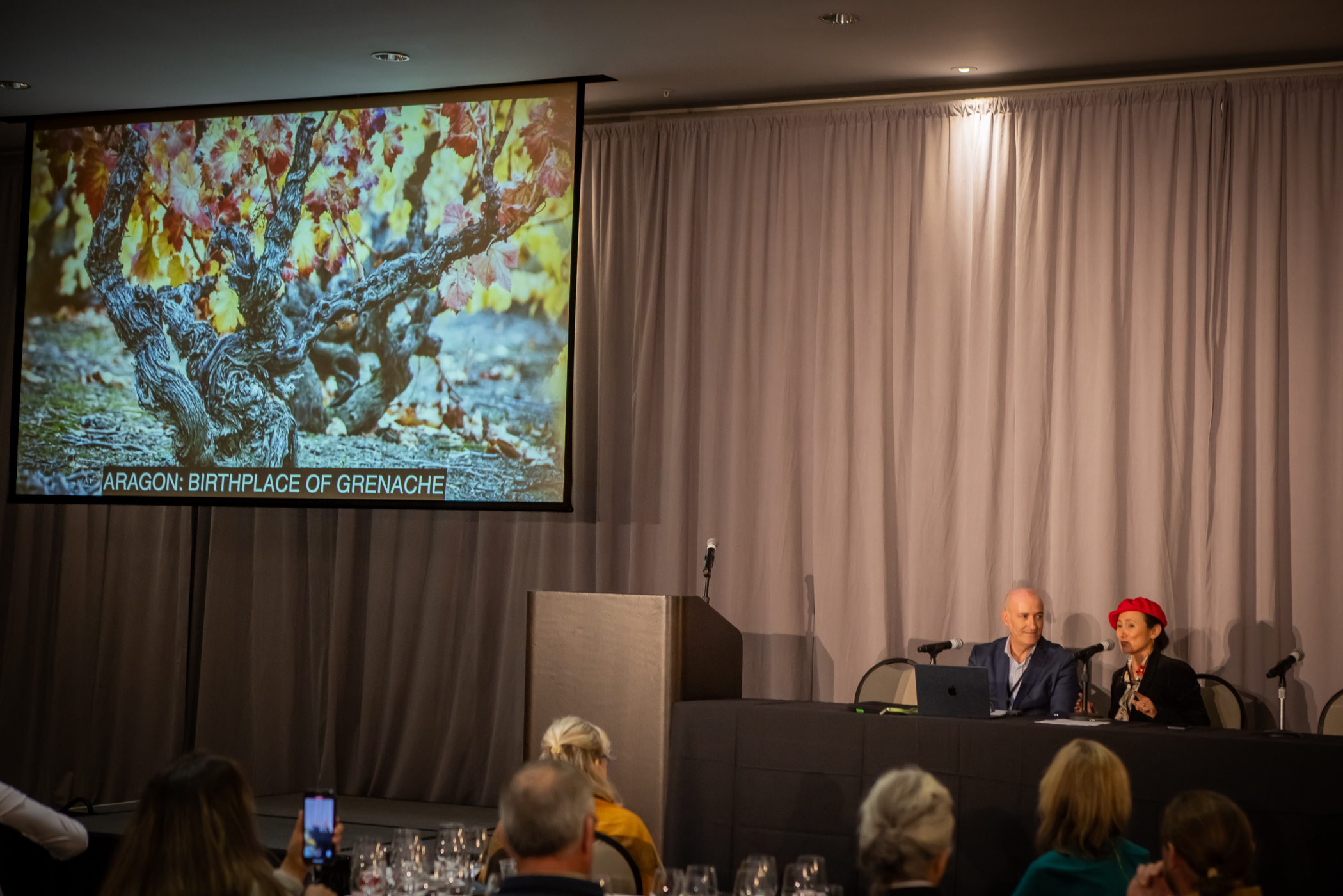 Presentacion Aragon Garnacha