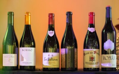 Cata de Invierno 2025 – Las 4 Estaciones de la Garnacha