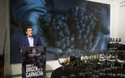 Eduardo Ibáñez, presidente del CRDO Campo de Borja: “Tenemos que reivindicar que la garnacha es una variedad aragonesa”