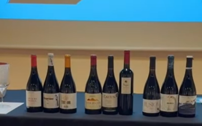 La Unión Española de Catadores visita la DOP Campo de Borja para conocer el origen de la Garnacha