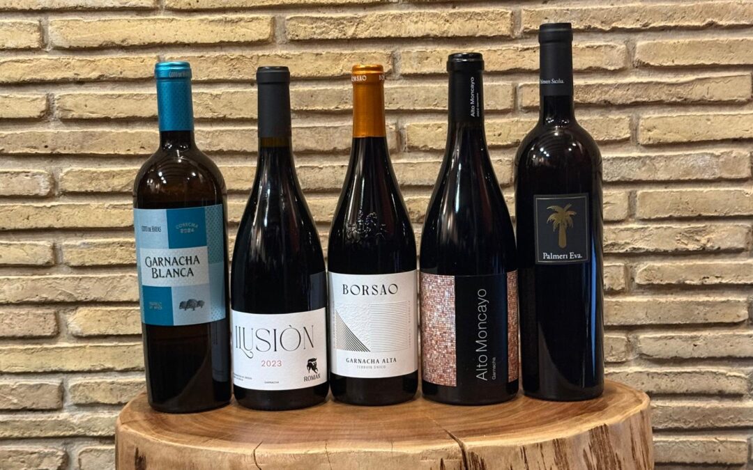 Presentación y cata de vinos Garnachas Históricas en colaboración con Winefrikis