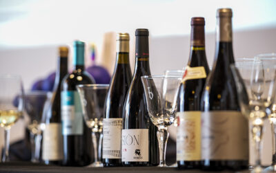 Cata de Primavera 2026 de la DOP Campo de Borja en el Monasterio de Veruela