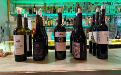 La DOP Campo de Borja presenta el proyecto Garnachas Históricas en la Academia del Vino de Córdoba