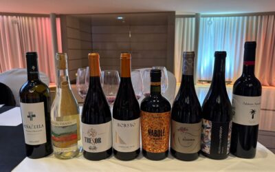 La garnacha de la DOP Campo de Borja protagonista en la Experiencia Verema Madrid