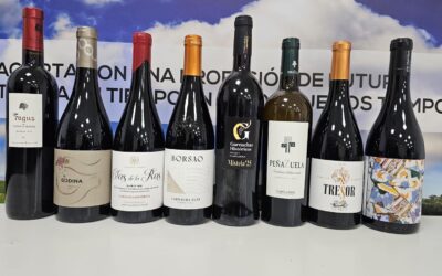 Cata y conocimiento del Proyecto Garnachas Históricas en Madrid