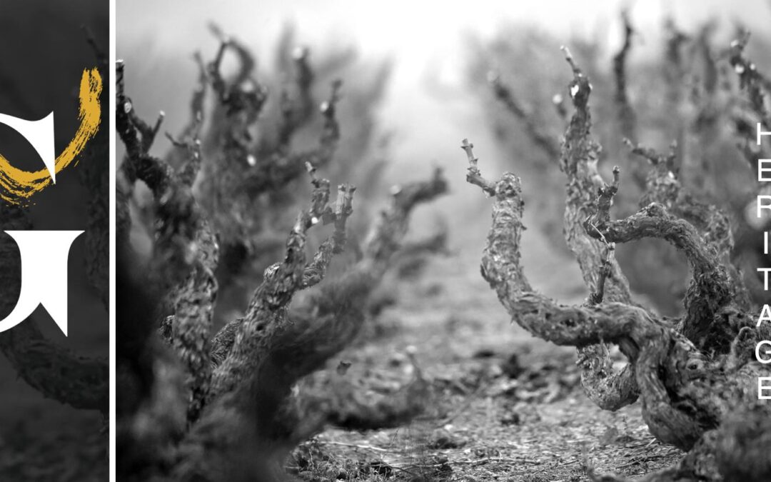 La DOP Campo de Borja celebra la cata Garnachas Históricas en el Real e Ilustre Colegio de Abogados de Zaragoza