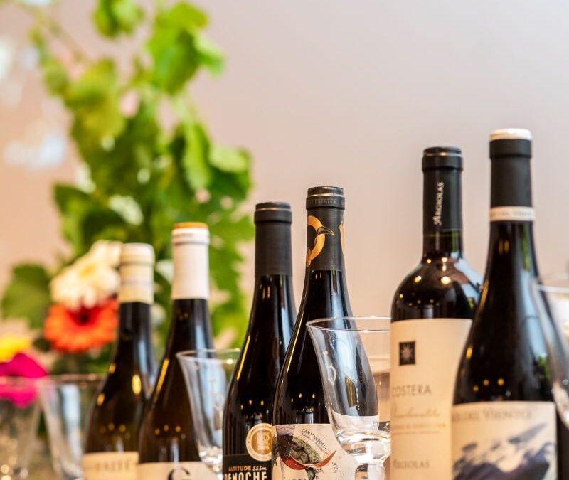 La Cata de Verano 2026 nos llevó de viaje por el Mediterráneo a través de la Garnacha