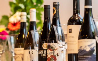 La Cata de Verano 2026 nos llevó de viaje por el Mediterráneo a través de la Garnacha